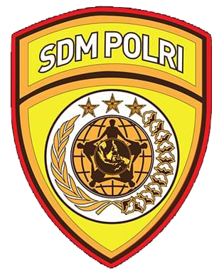 Jasa Pembuatan Website Makassar